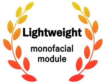 Lightweight monofacial module