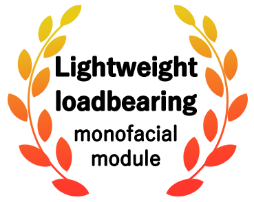 Lightweight loadbearing monofacial module