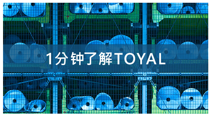 1分钟了解TOYAL