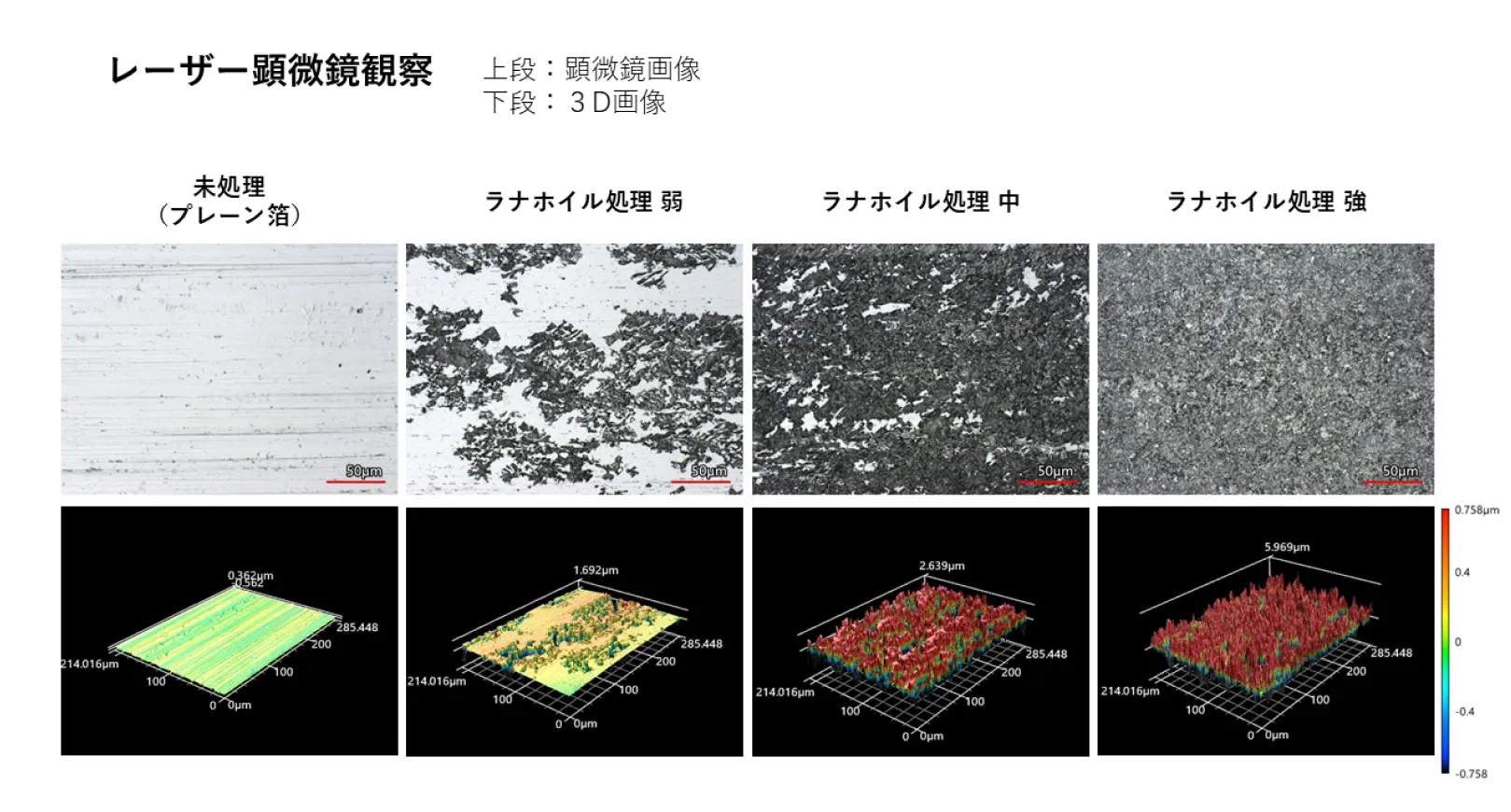 レーザー顕微鏡観察