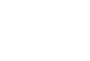 TOYAL 入門書