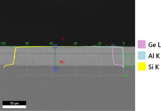 SEM-EDXによる元素プロファイル