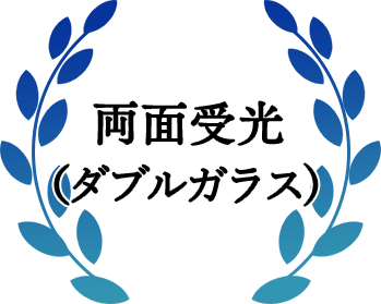 両面受光(ダブルガラス)